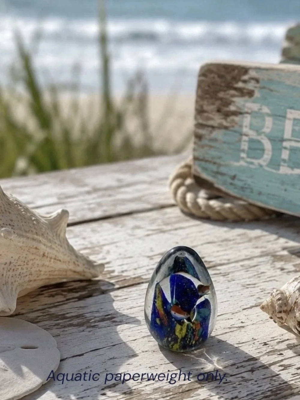 Florida Aquarium Art Glass Fish Paperweight Ocean Coastal | Beachcore